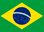 דגל ברזיל