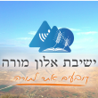 רבנים נוספים